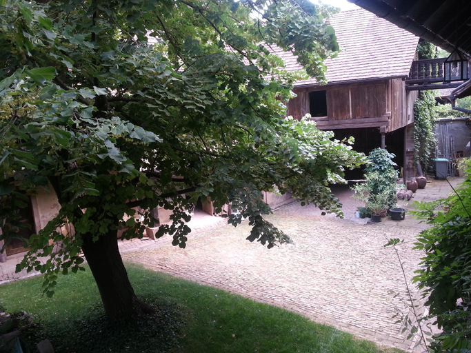 Others 5, Unter der Linde, Bas-Rhin