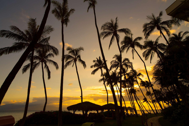 Others 5, HYATT KA'ANAPALI BEACH, Maui