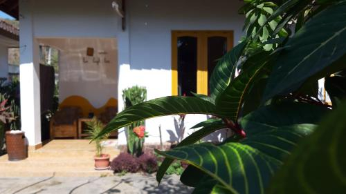 Cinnamons Homestay, Lombok