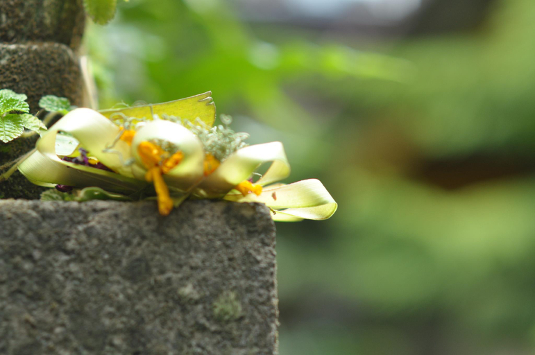 Others 4, Home away from home (1BR at tresna homestay), Gianyar