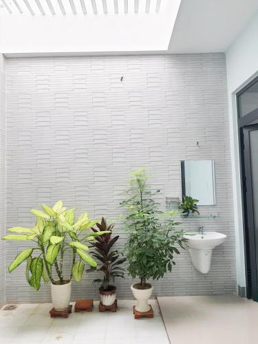 Tiny House, Tuy Hoa