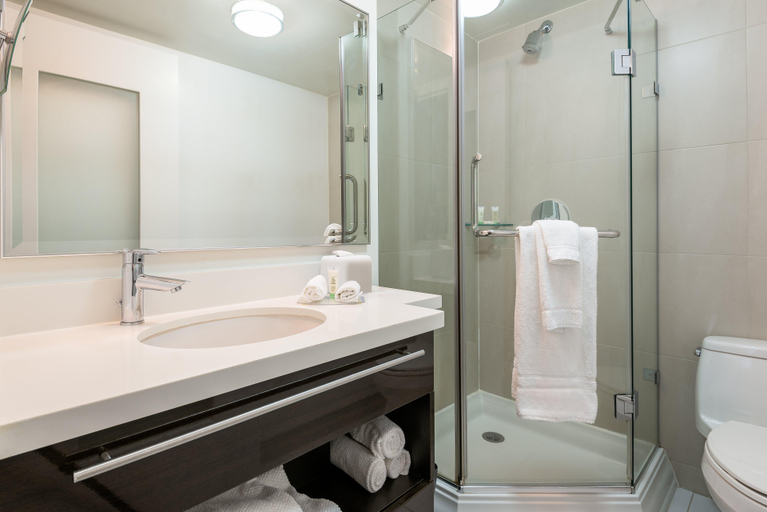 Bathroom 5, Delta Hotels by Marriott New York Times Square, New York