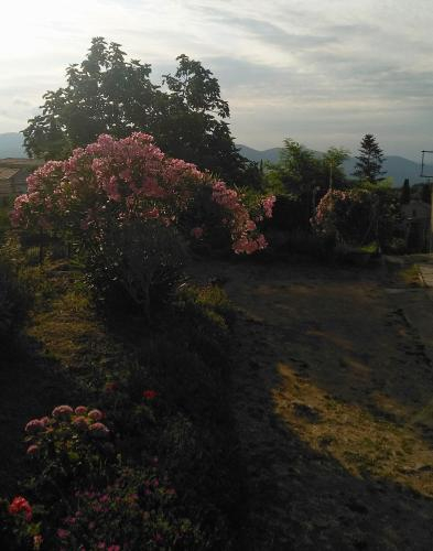 al borgo etrusco con vista mare, Grosseto