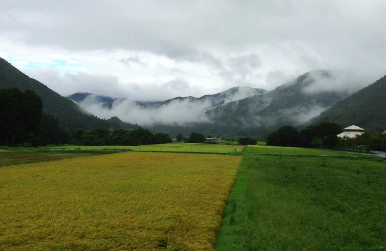 Others 3, Miyama Futon & Breakfast Thatched Cottages, Nantan