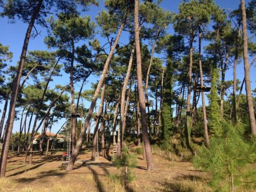 Appartement Anglet, 1 piece, 2 personnes - FR-1-3-399, Pyrénées-Atlantiques