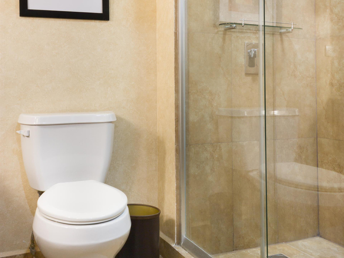 Bathroom 4, Best Western Premier Monterrey Aeropuerto, Apodaca