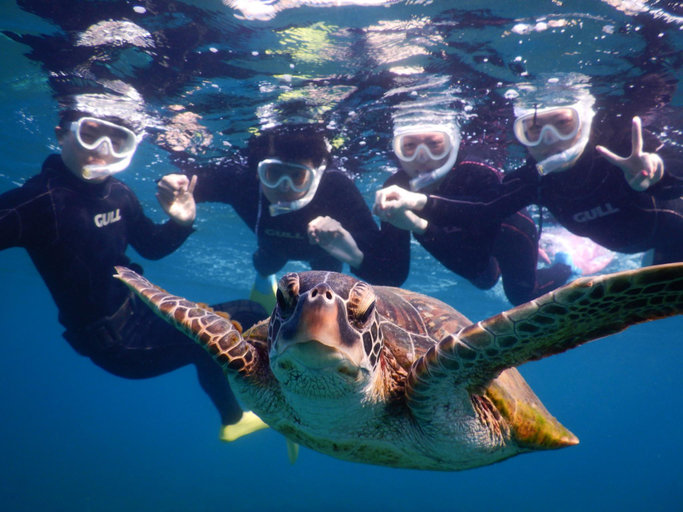 Attractions 4, Ecot Kugai 1, Miyakojima
