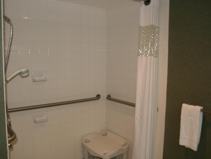 Bathroom 5, Hampton Inn Hillsville, Carroll