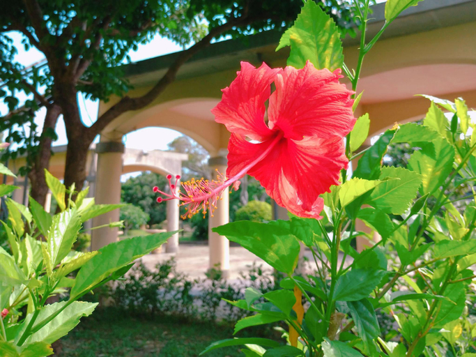 Others 5, Howard Kenting Wonder House, Pingtung