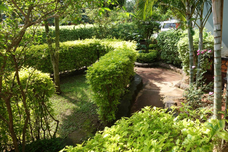 Others 4, Materwood Hotel, Jinja