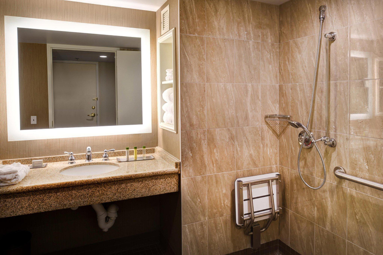 Bathroom 5, St. Louis Union Station Hotel, Curio Collection by Hilton, Saint Louis