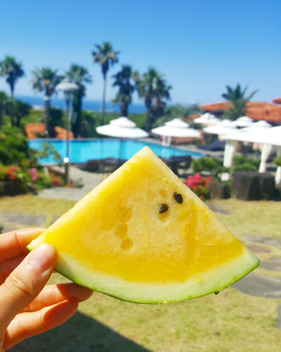 Food & Drinks, Palm Valley Pool Villa Resort, Seogwipo