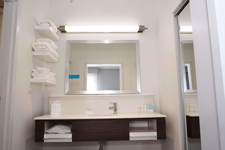 Bathroom 4, Hampton Inn & Suites Des Moines/Urbandale, Polk