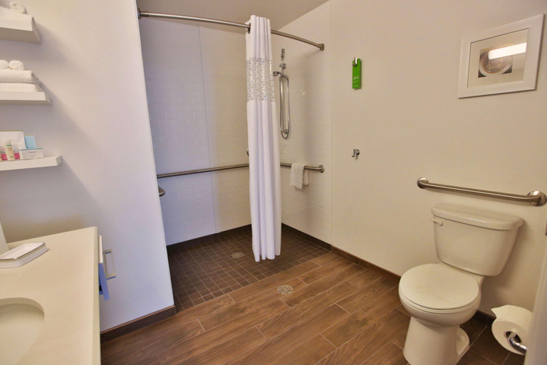Bathroom 4, Hampton Inn Chicago Downtown/N Loop/Michigan Ave, Cook