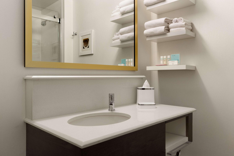 Bathroom 4, Hampton Inn Chicago Downtown/N Loop/Michigan Ave, Cook