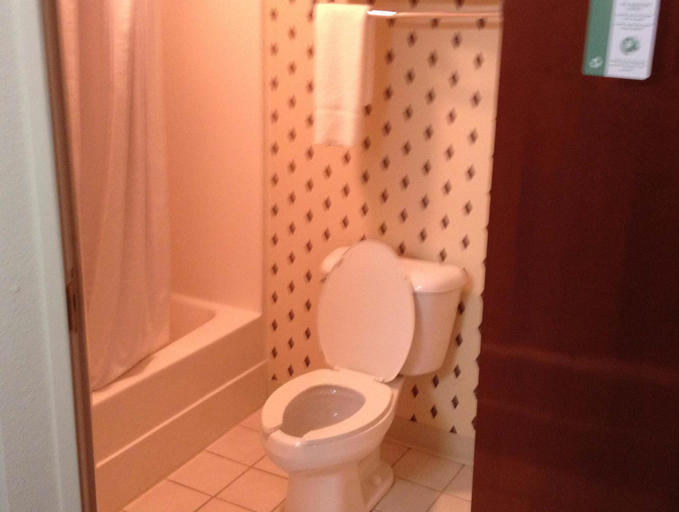 Bathroom 2, Country Hearth Inn & Suites Willard, Huron