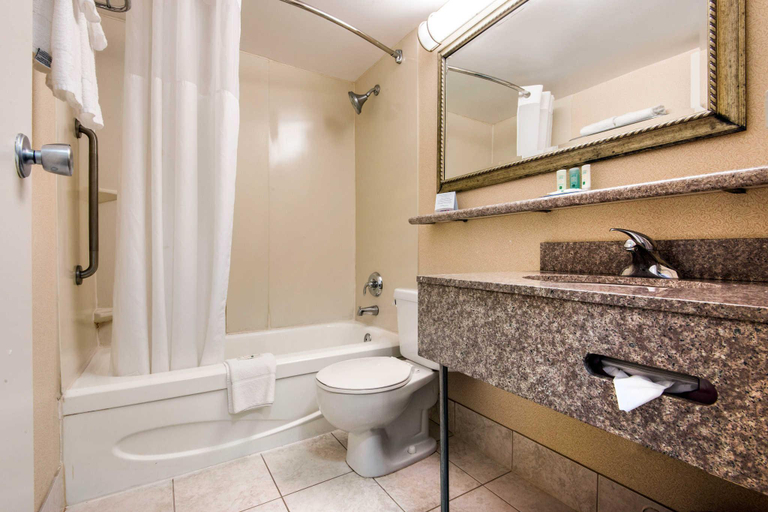 Bathroom 4, Quality Inn & Suites, Peel