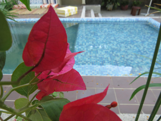 Sport & Beauty 2, Color House Santa Marta, Santa Marta (Dist. Esp.)