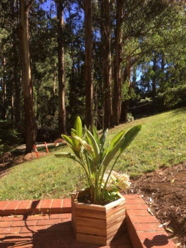 Others 3, Olinda Country Cottages, Yarra Ranges - Dandenongs
