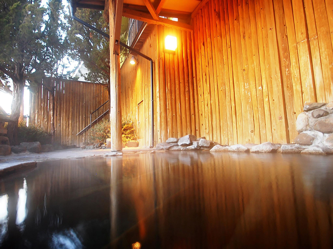Public Area 3, Ryokan Biyunoyado, Yamanouchi