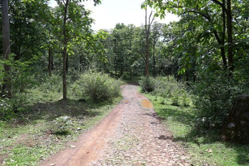 Rustic Charm Wayanad - The Roots (Treetop Suite), Wayanad