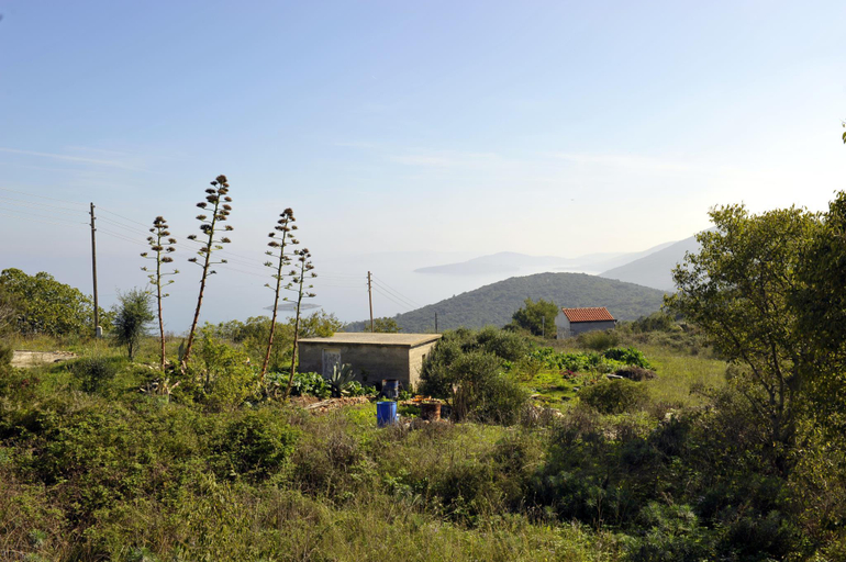 Others 3, Aunt Regina House, Sali