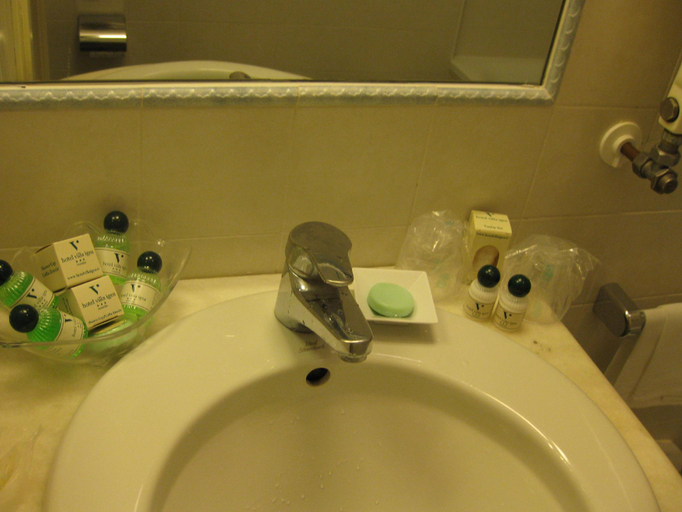 Bathroom, Hotel Dayal Paradise, Lucknow