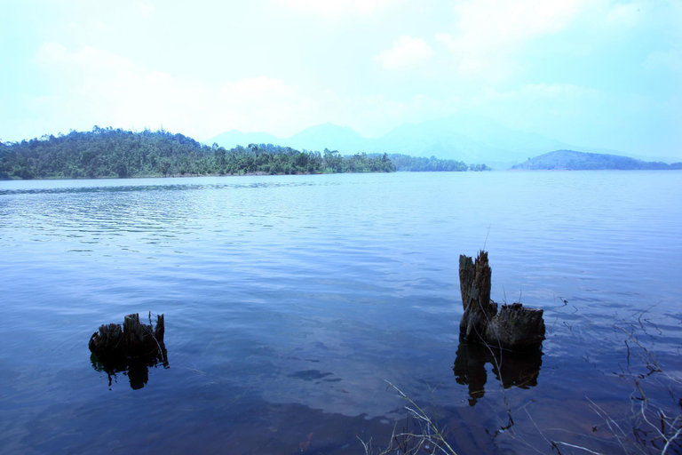 Public Area 2, Petals Resort, Wayanad