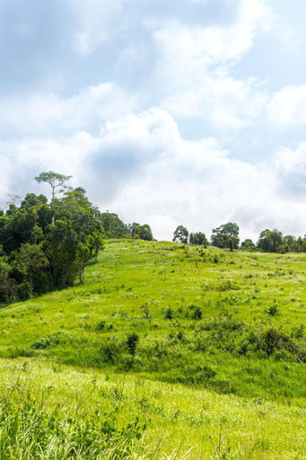 Others 5, Sierra View Resort, Pak Chong