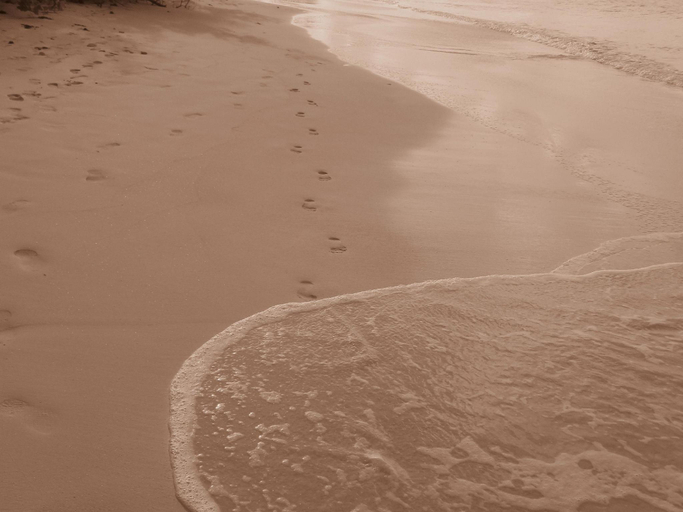 Others 5, Cote d'Or Footprints Chalets