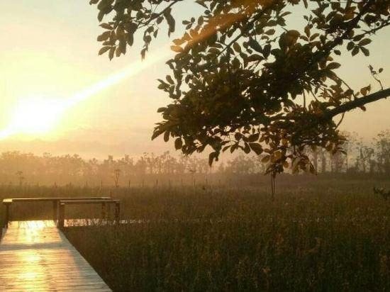 5, Ban Thung Talay Mok Chiangdao, Chiang Dao