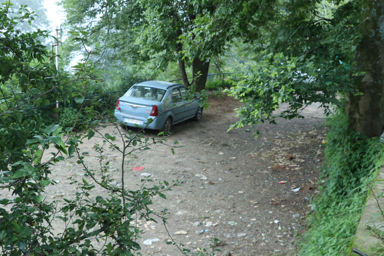 Others 5, Alasia Hotel, Solan