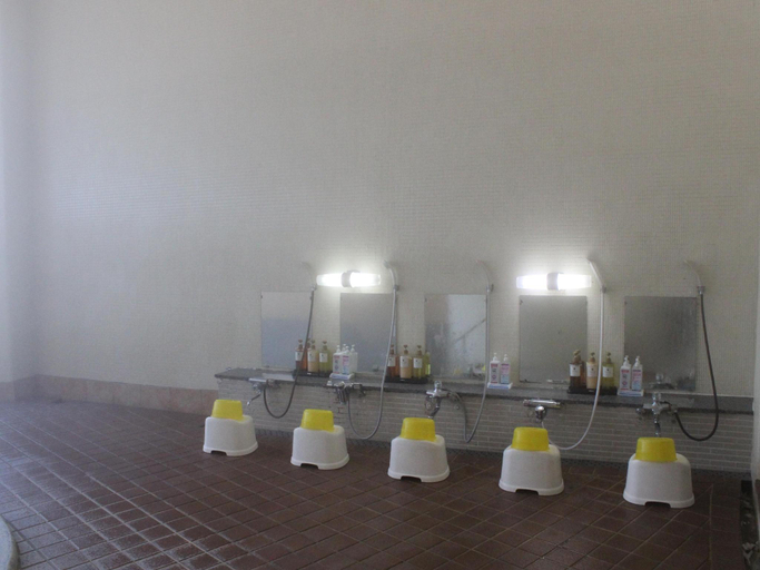 Bathroom 4, Gero Onsen Minoriso, Gero