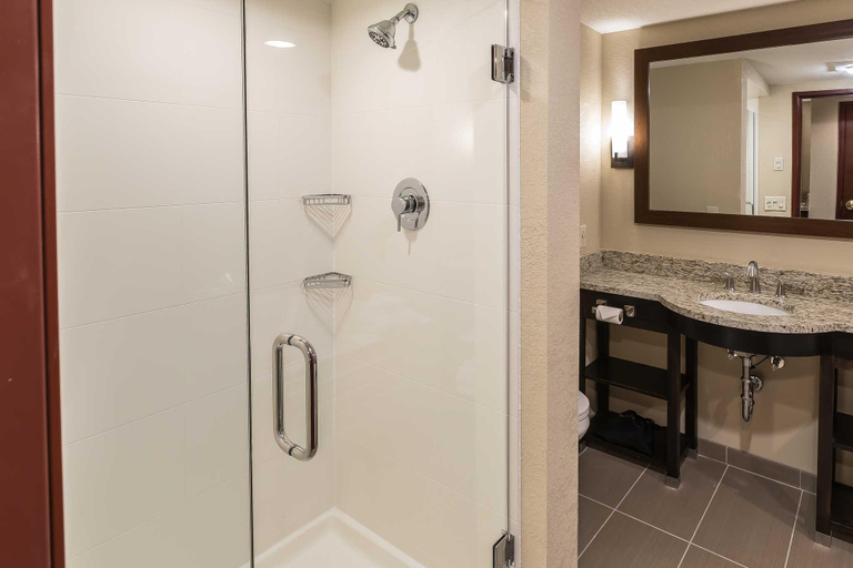 Bathroom 4, Comfort Inn & Suites Allen Park - Dearborn, Wayne