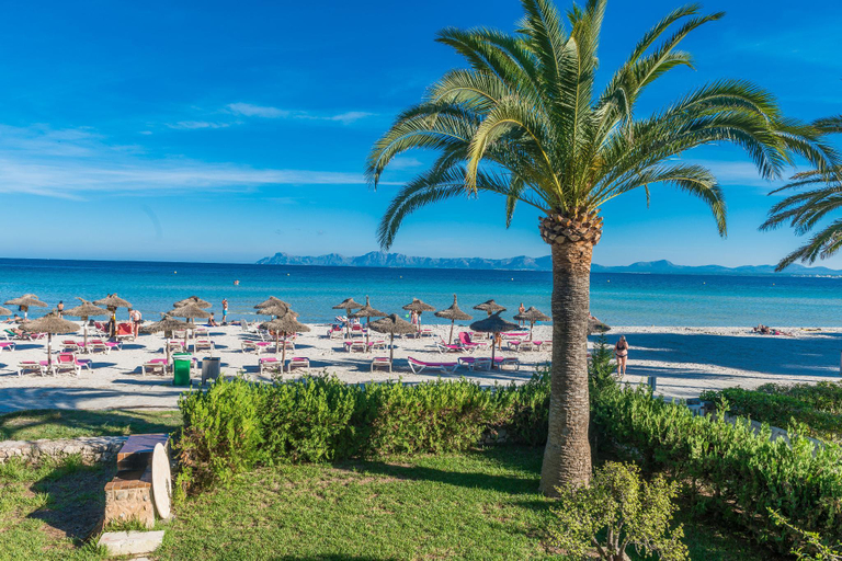Others 5, BON ESTAR, Baleares