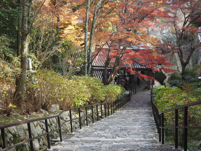 Others 4, Hotel Woo (Adults Only), Yamatotakada