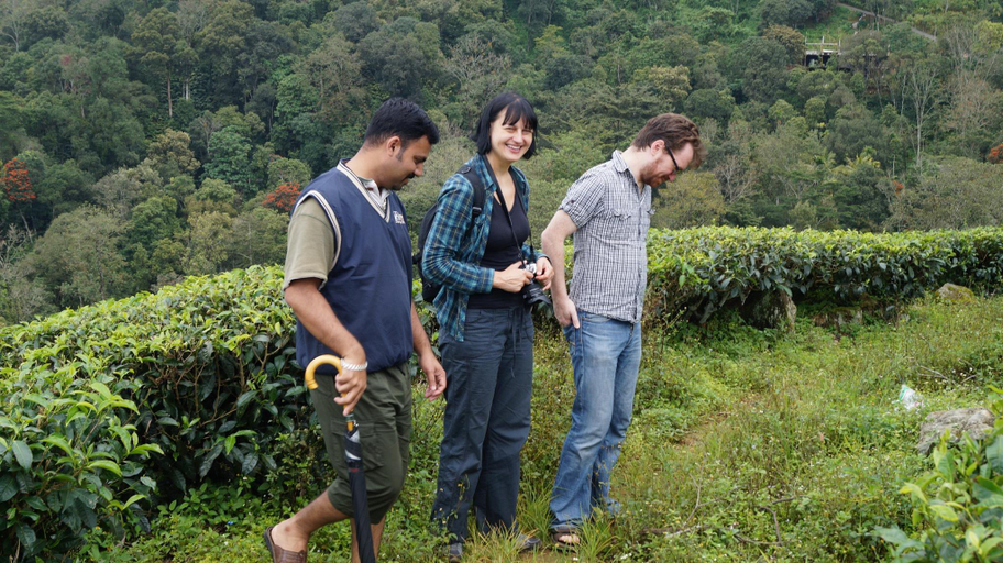Others 4, Grace Inn Munnar Homestay, Idukki