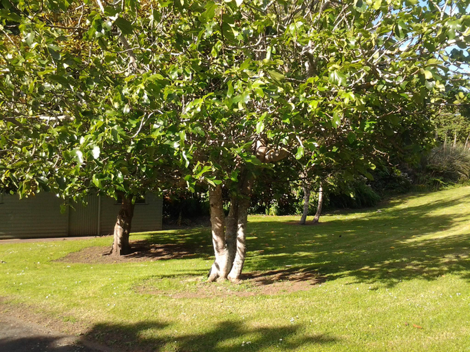 Others 3, Hikurangi Stay Place, Wanganui