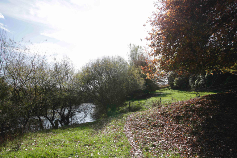 Others 5, Somersal Bed and Breakfast - Wedding Venue, Waipa