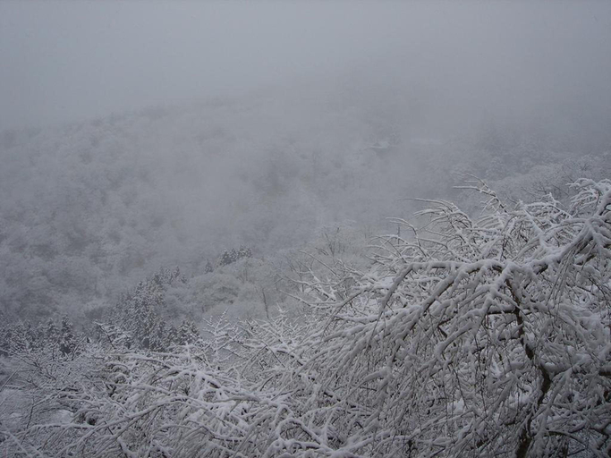 Others 5, Scenic Inn HOUNKAN, Yoshino