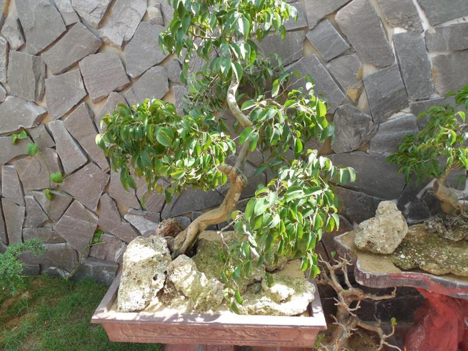 Others 4, The Sun Homestay, Da Nang