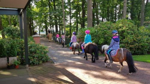Horseback riding 4, Große Ferienwohnung, auf Bauernhof mit Ponys und Pferden, landlich und ruhig, Nahe Dummer See, Vechta