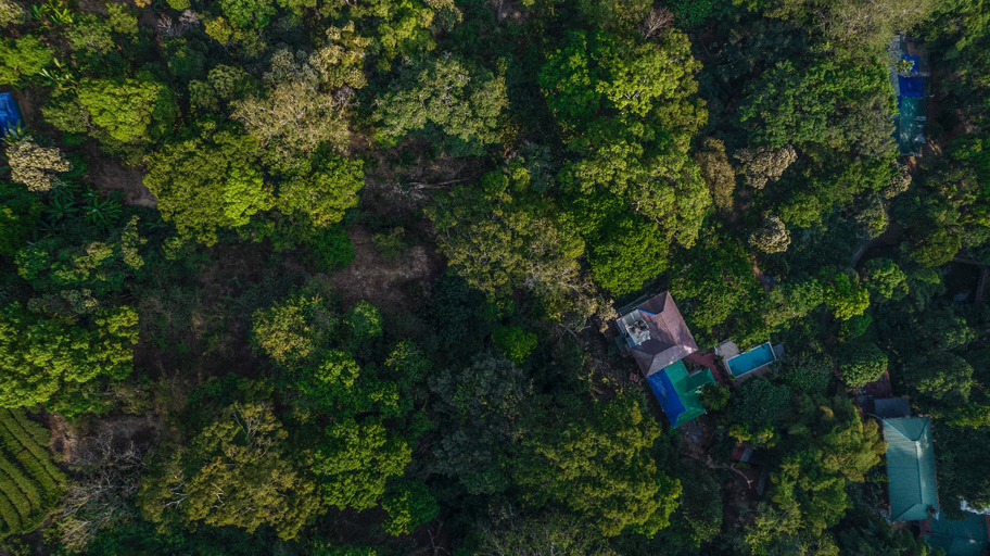 Others 4, Spice Jungle Resorts, Idukki
