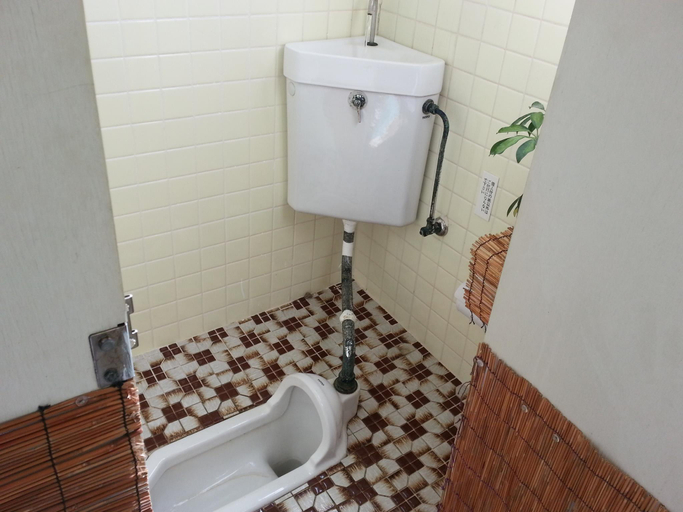 Bathroom 2, Minshuku Myojoso, Yoron