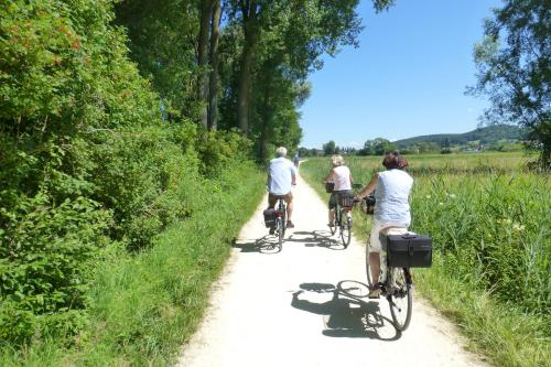 Sports and activities, Große Ferienwohnung, auf Bauernhof mit Ponys und Pferden, landlich und ruhig, Nahe Dummer See, Vechta