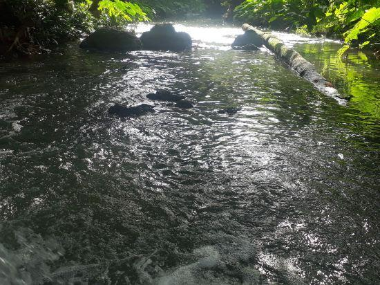 Others 4, Ui Bai Valley, Muang Nan