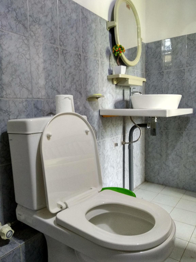 Bathroom 3, "Villa Green white" up to six pack, Akmeemana