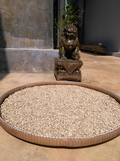 Sport & Beauty, Bambuh Boutique Homestay - Adult Only, Muang Chiang Rai