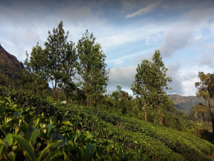 Others 3, Tea Castle, Idukki