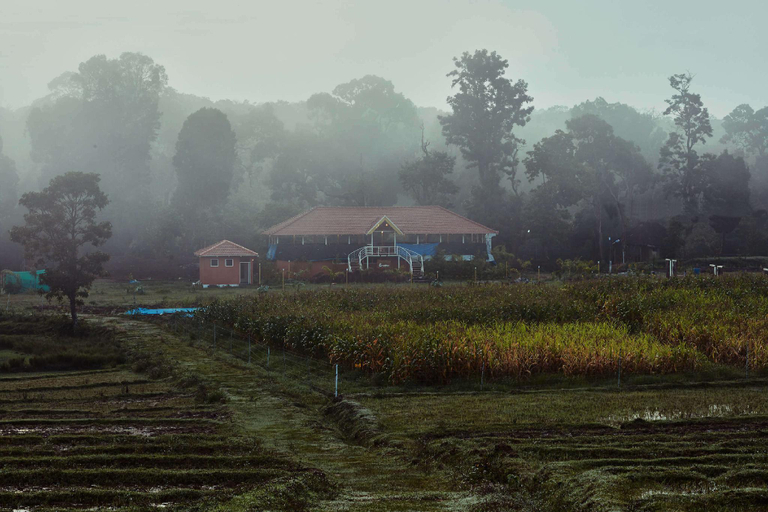 Food & Drinks 3, Sixth Element Luxury Resort, Kodagu
